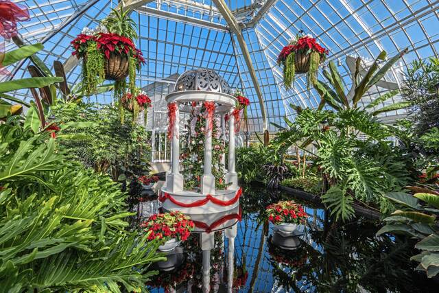 Phipps Conservatory brings 'Sparkle and Shine' to winter flower show |  TribLIVE.com